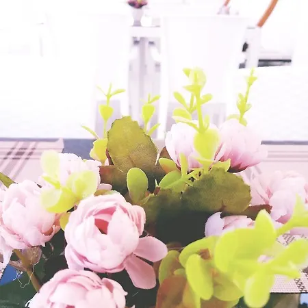 Ege Birlik Boutique * デヴォトラシュ