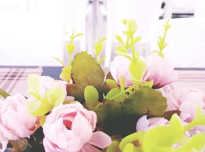 Ege Birlik Boutique * Davutlar